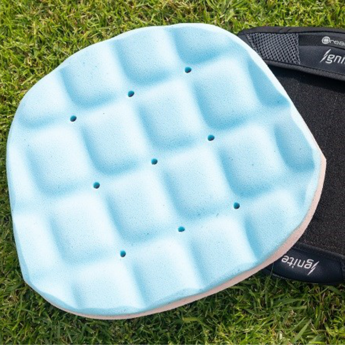 Dreamline Ignite Back Support - Seating and Positioning - GTK