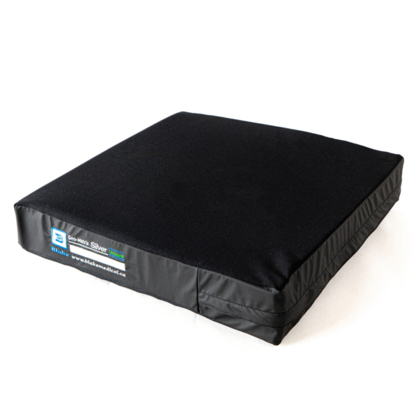 Geo-Matrix Silver cushion
